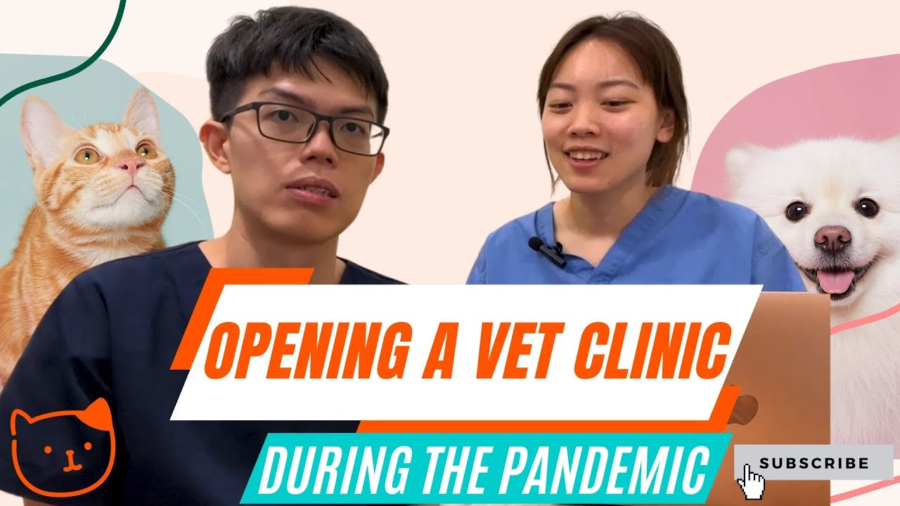 Struggles from Opening a Vet Clinic in Singapore? 🇸🇬 (Ft. @MayYean) | Deep Dive Interview