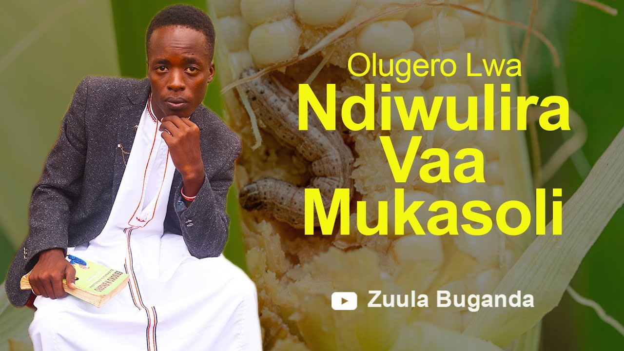 Olugero Lwa Ndiwulira Vaa Mukasooli-Zuula Buganda-Tuula Oyige