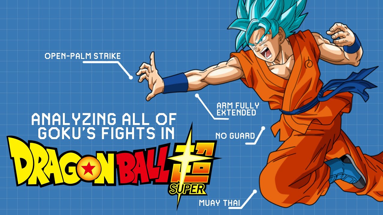 Goku's Fighting Style EXPLAINED- Dragon Ball Super [Old Version]