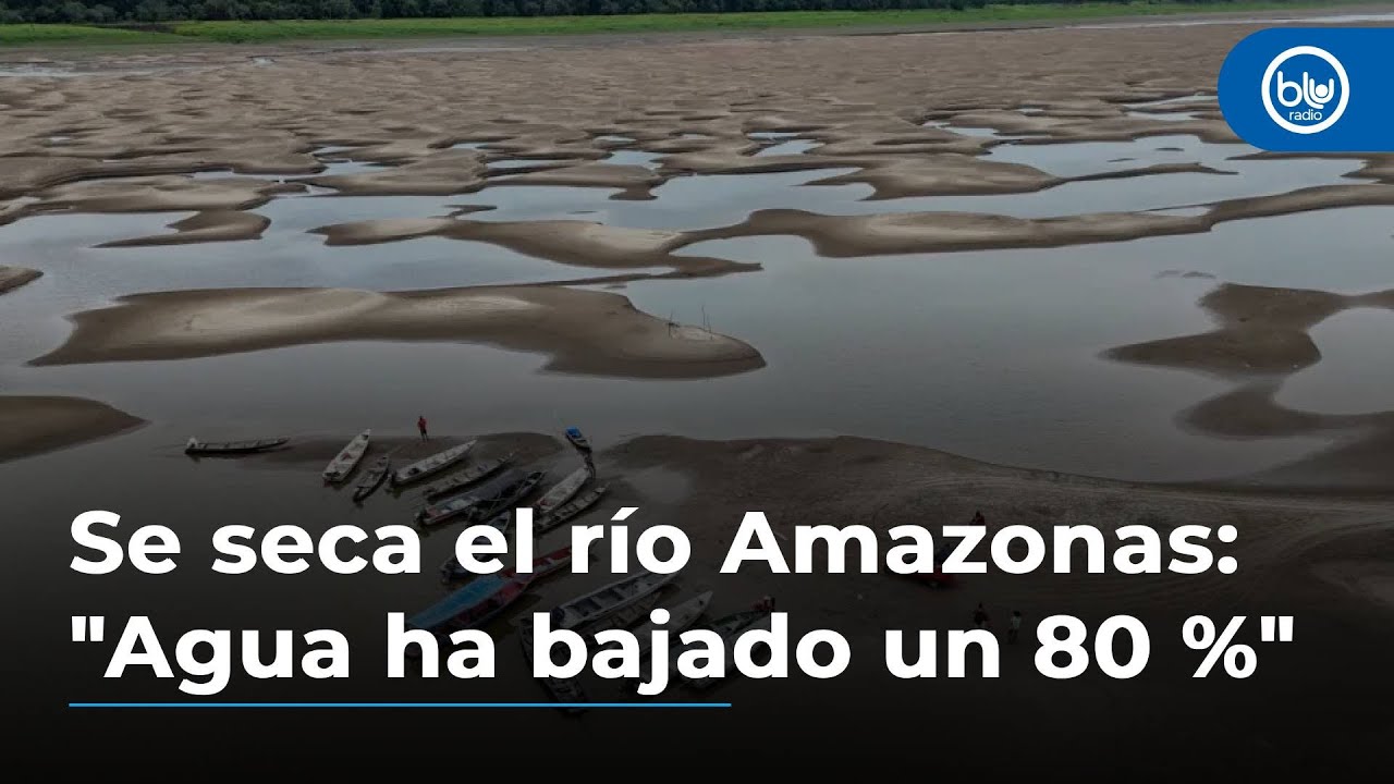 Se seca el río Amazonas: 