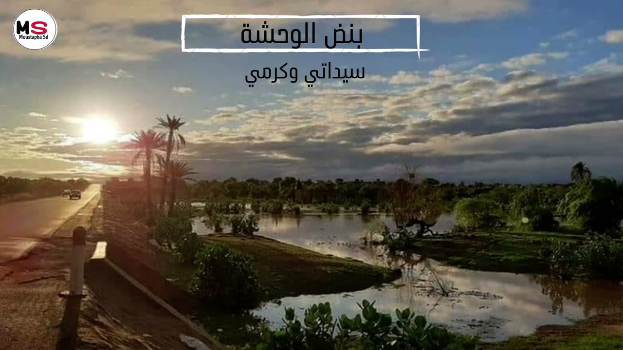 سيداتي وگرمي   || بنض الوحشة