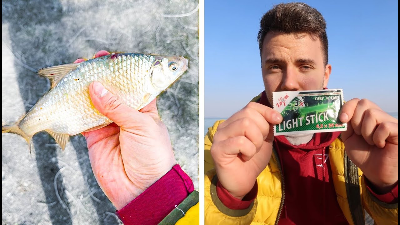 Lementem egyet HORG&Aacute;SZNI a Balatonra!