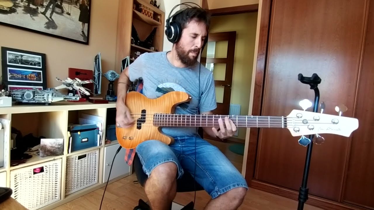 Delta Sleep -The Detail Bass Cover