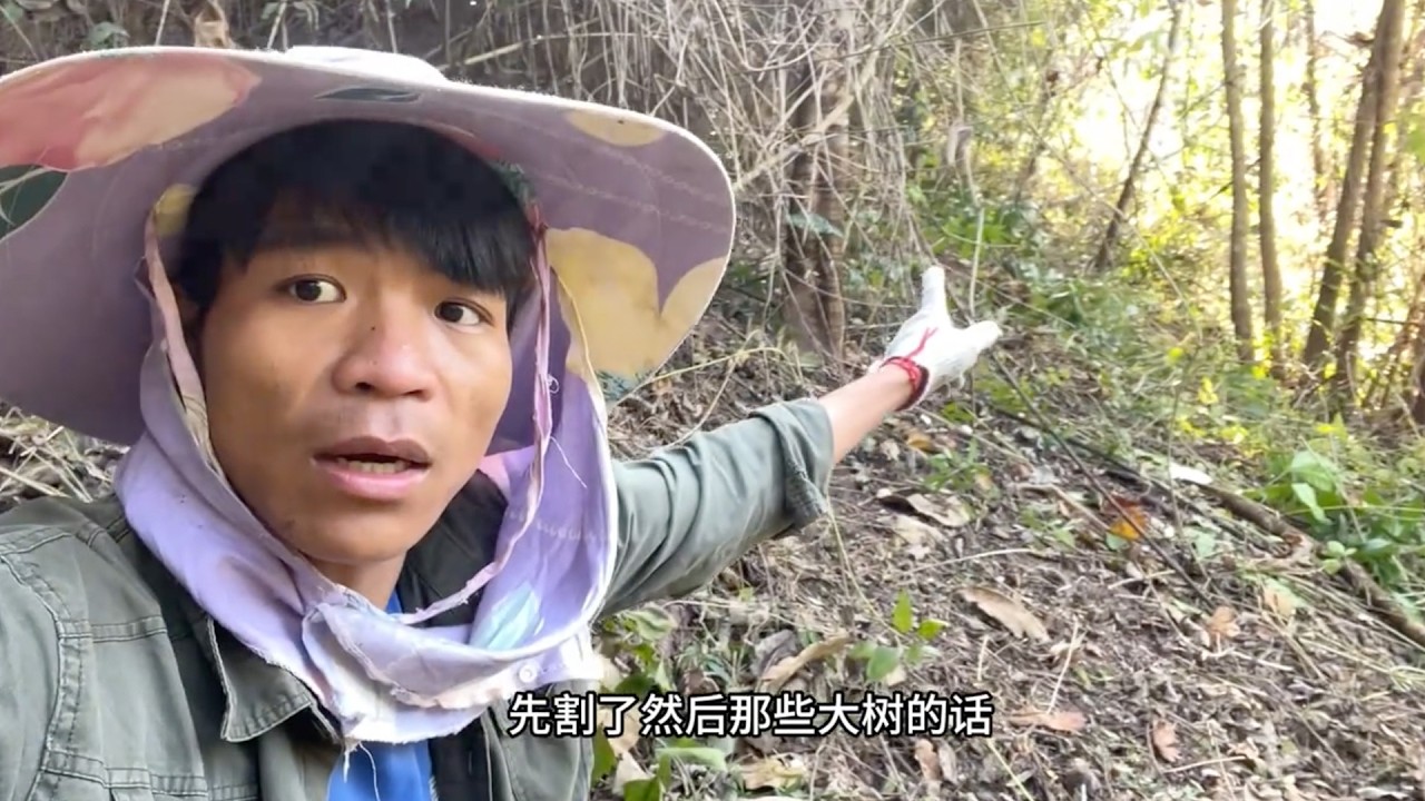 三哥去砍地割草，到时候做玉米和菜，快要到种地的季节了。