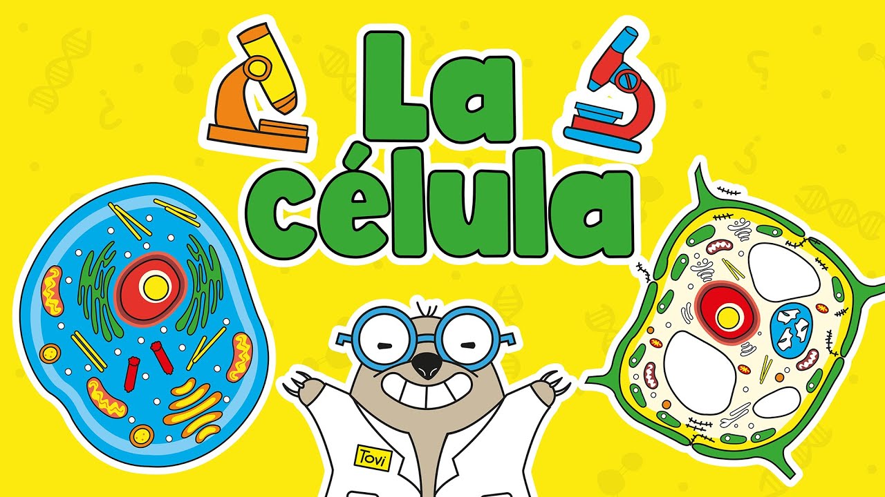 La célula | ¿Qué es? ¿Cuál es su estructura? Tipos de célula