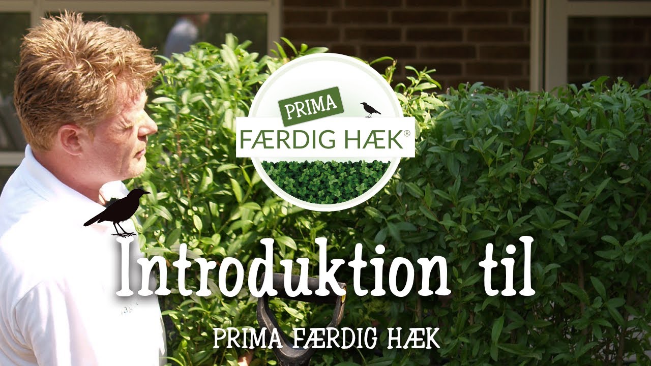 Introduktion til PRIMA FÆRDIG HÆK®