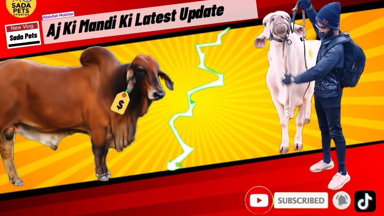 Bachra ki quality check kro🥰🥰@SadaPetUpdates 
