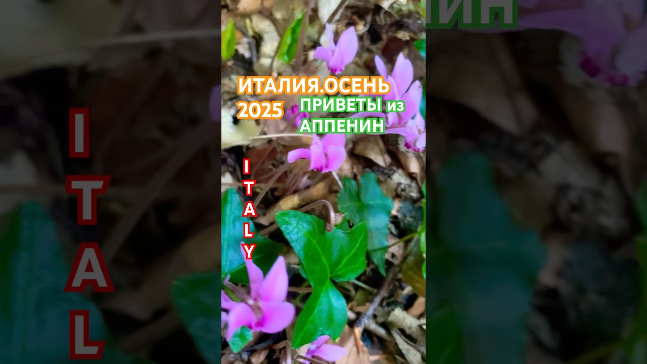 ИТАЛИЯ.ОСЕНЬ 2025.ГОРЫ АППЕНИНЫ.ITALY.Italia#shortvideo#montagne#italy#природа#горы