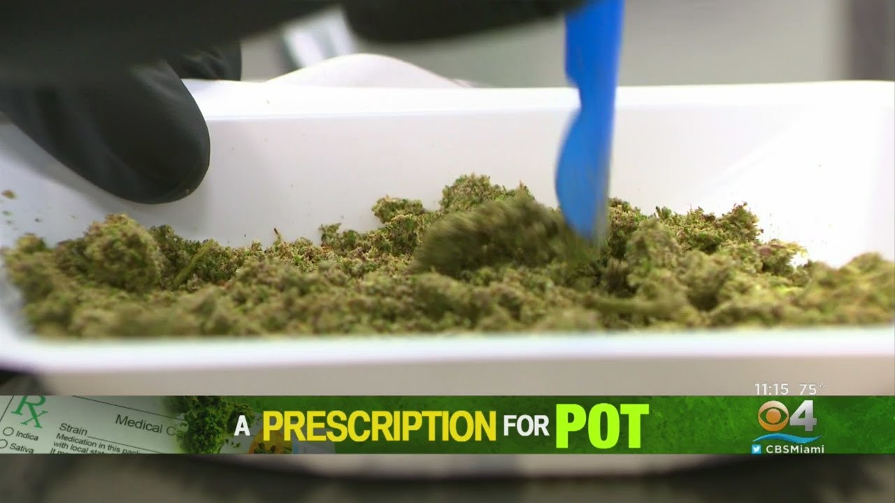 Medical Marijuana Use In Florida Spikes After 1 Year