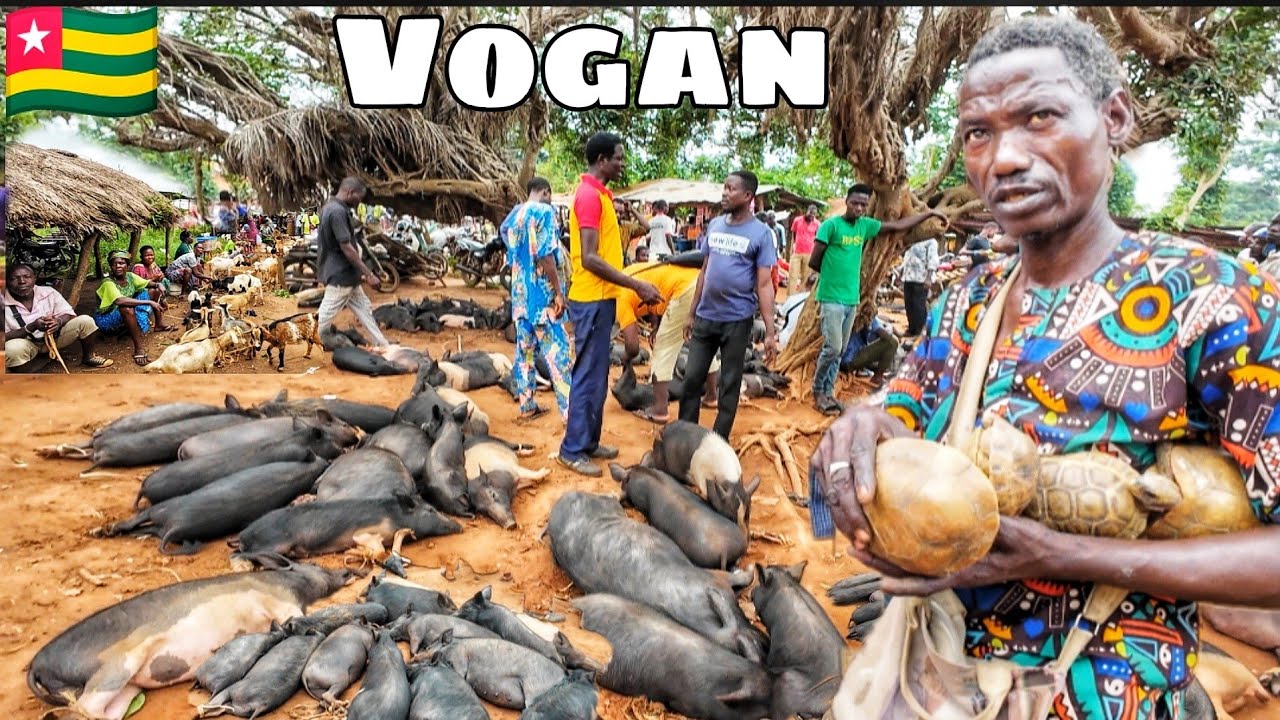 Largest Rural village market day in Vogan Togo west Africa 🌍