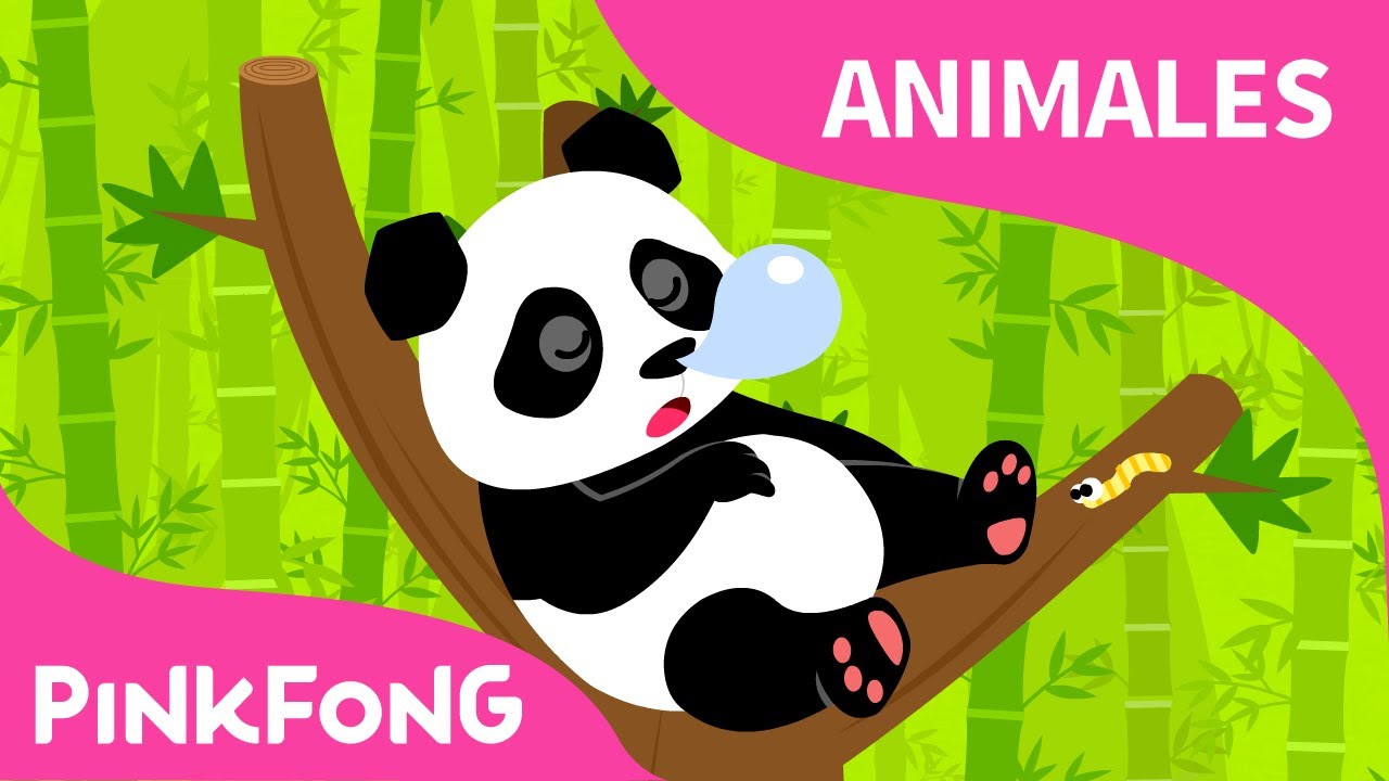 Ni Hao Panda | Panda | Animales | PINKFONG Canciones Infantiles