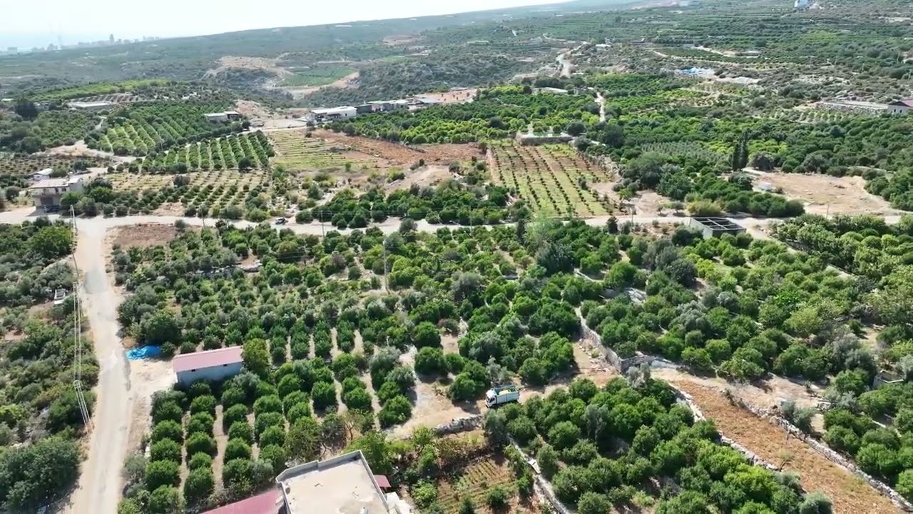 Mersin Erdemli  Tırtar 'da 5.5 Dönüm Deniz Manzaralı Limon Bahçesi