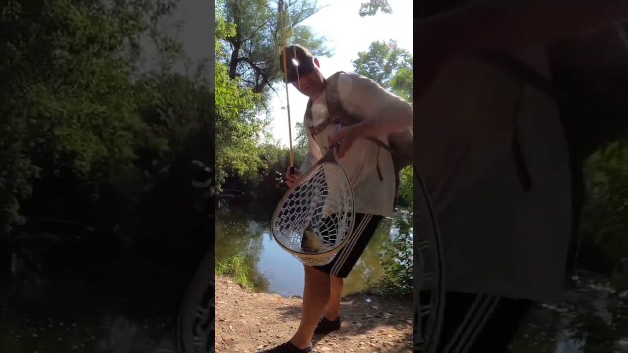 Creek fishing looking for bass with Plusinno's magnetic release rubber net. 🐟💥🎣 @tiefsa