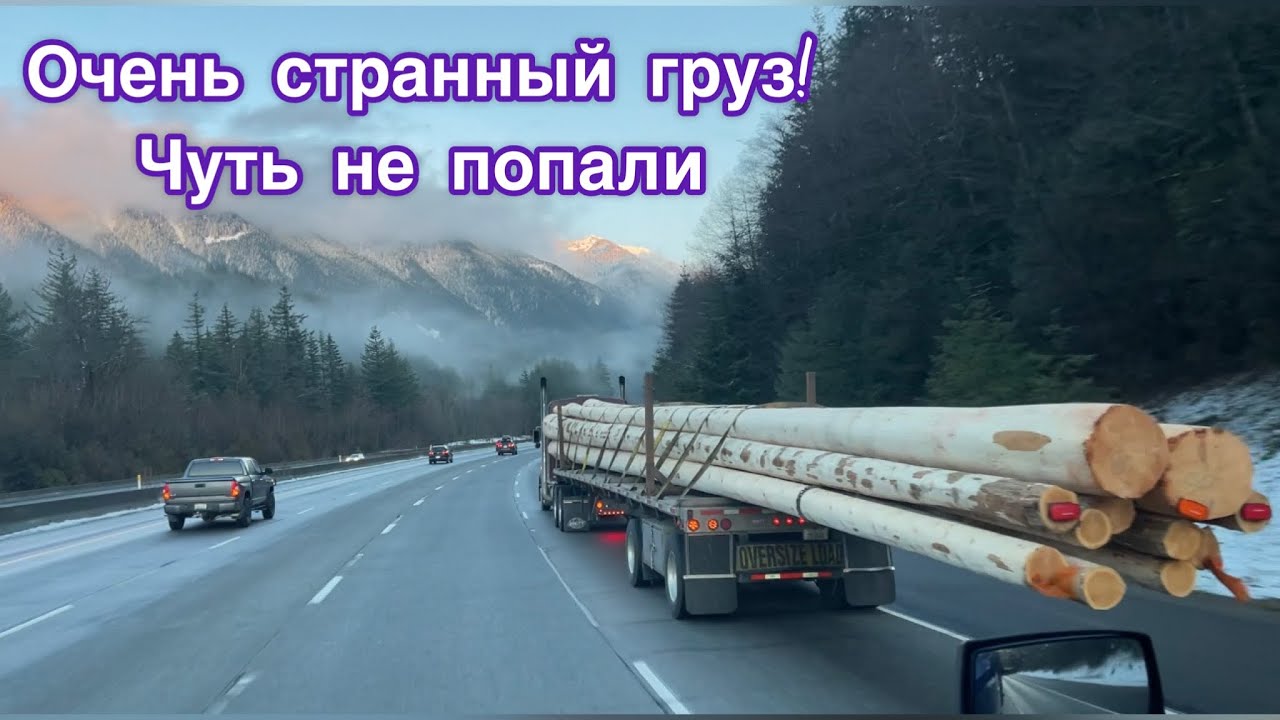 Очень странный груз! Брокер хотел подставить