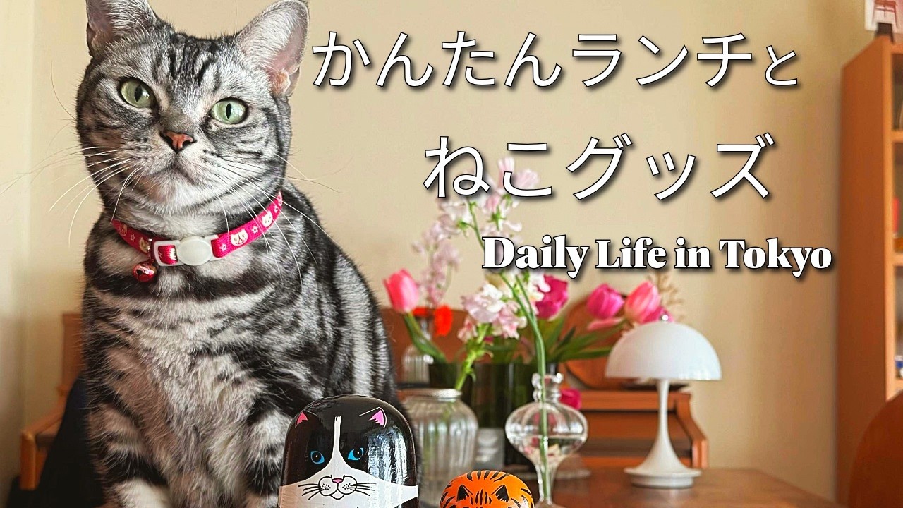 体にやさしい豆腐キッシュと、ネコとの一日