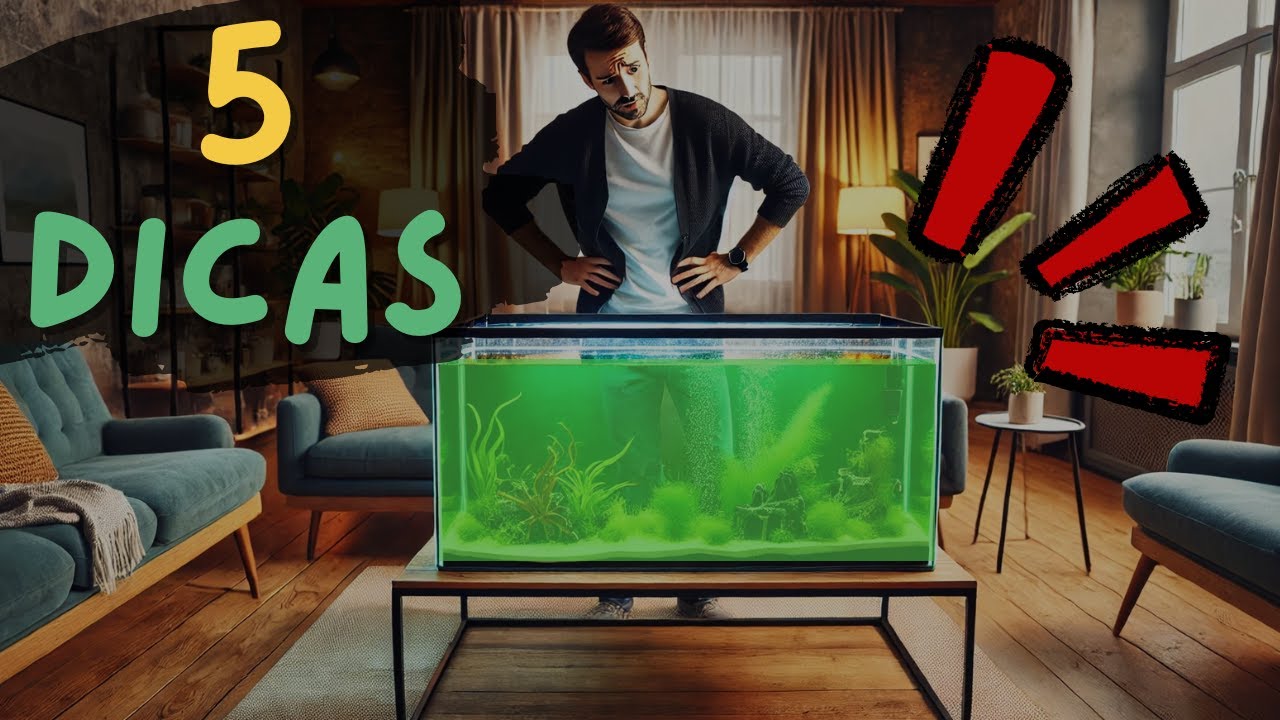 Como resolver o problema da água verde no aquário?