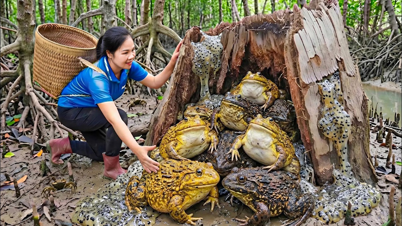 Harvest Giant Forest Frogs & Go to Market Sell | 100 Days from Egg to Survivor | Green forest life