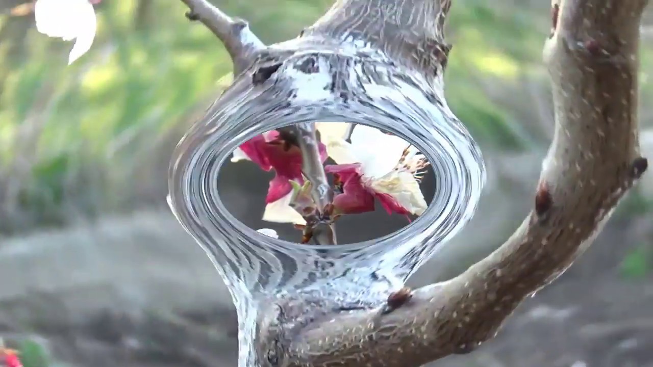 MARK KNOPFLER, new, STRETCHING OUT, (from flower to something else)