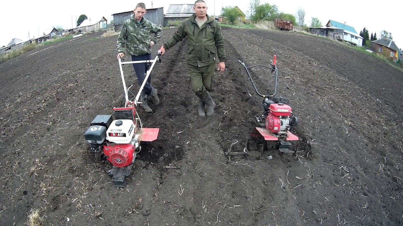 Сравниваем 