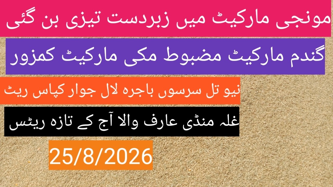 New munji rate today| گندم کا ریٹ 2026| makki Til sarso bajra| Ghalla Mandi Arifwala Punjab