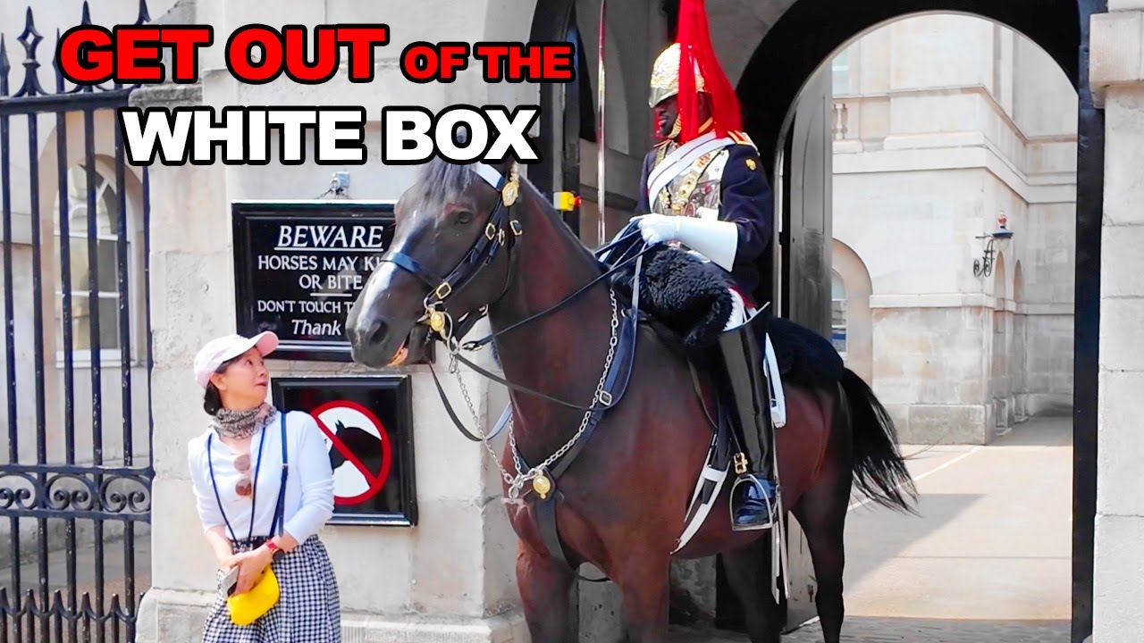 They Were WARNED – Guard Shuts Down Rule-Breaking Tourists!