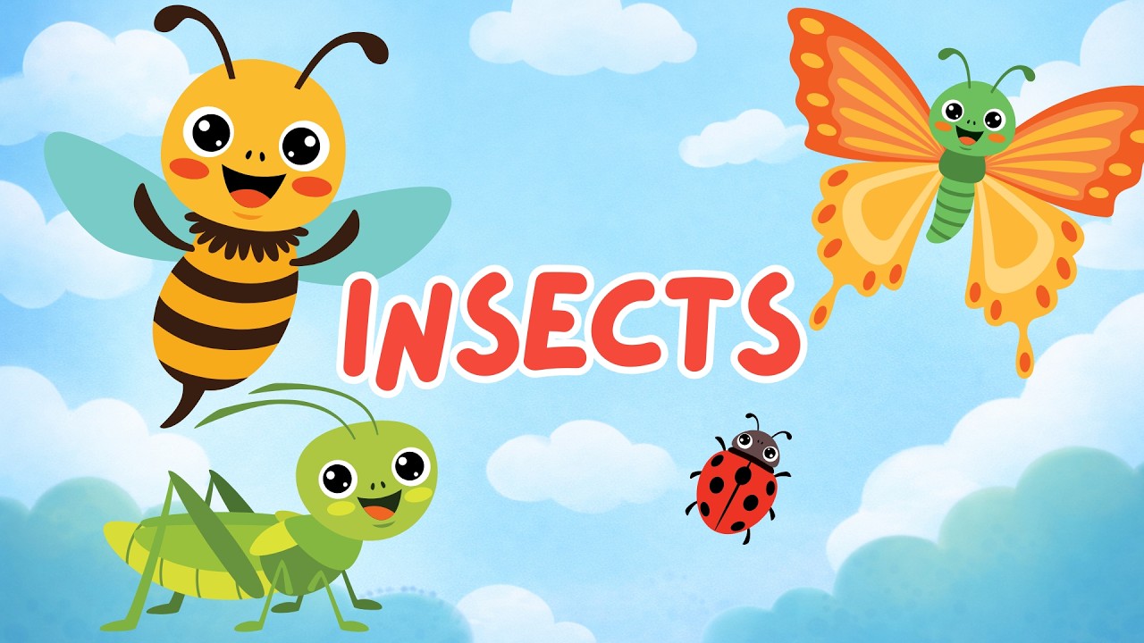Insect World for Kids 🐞 | Learn Insects | Learn Bugs| Fun Educational Video
