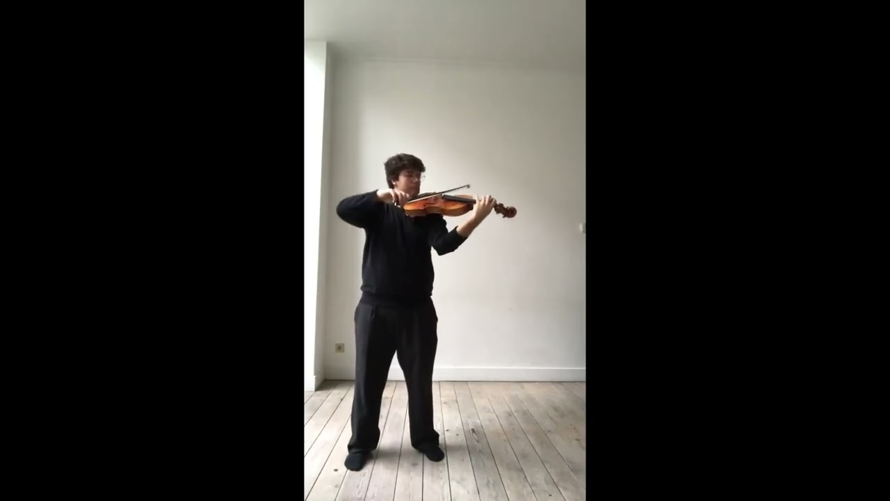Daniel Poncela. Stamitz viola concerto