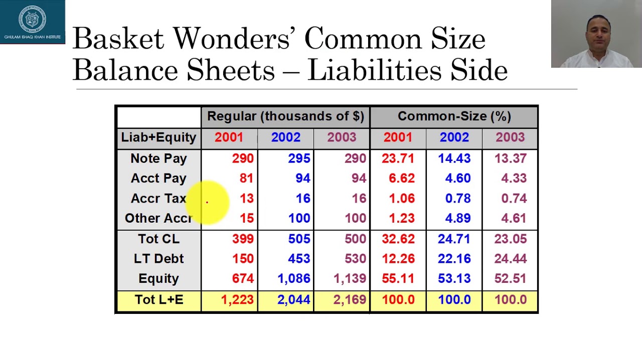 common size and index analysis