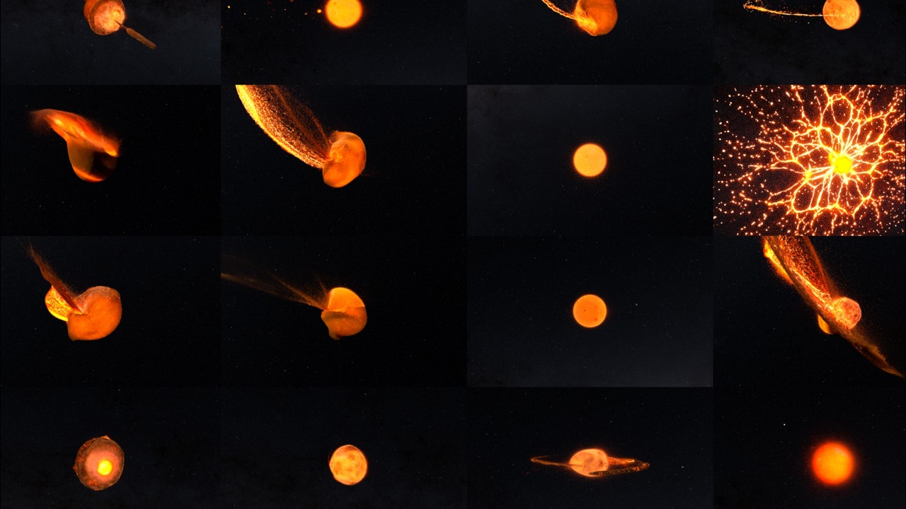Universe Makers &ndash; run your own giant impact simulations, can you make the Moon?