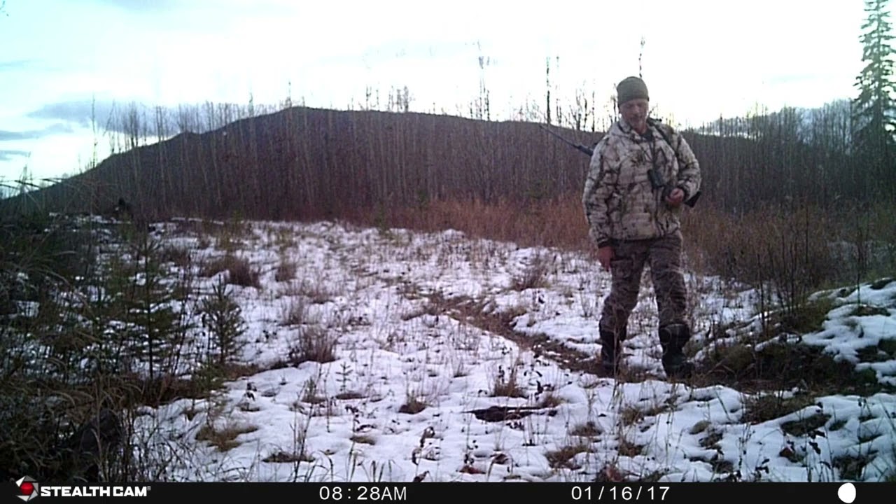 NEW - Canadian Version Of Skin Walker Ranch