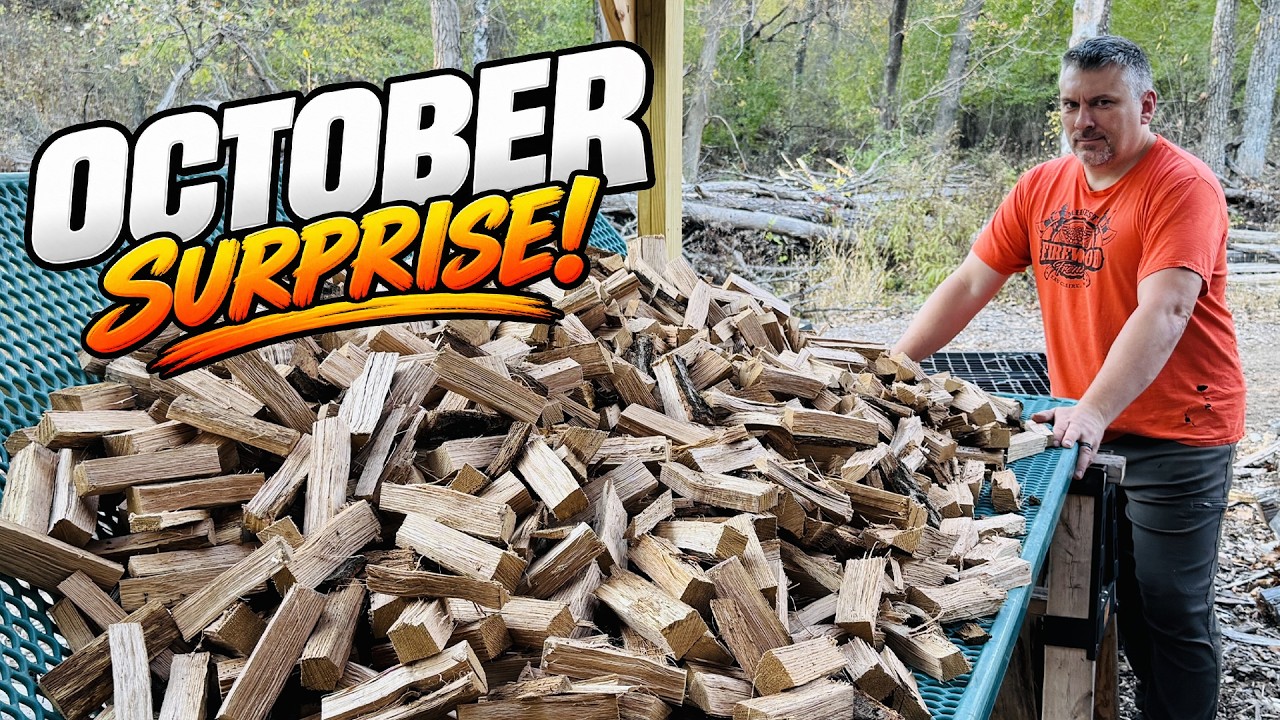 October Oak &ndash; A Whole Lot of Little Firewood