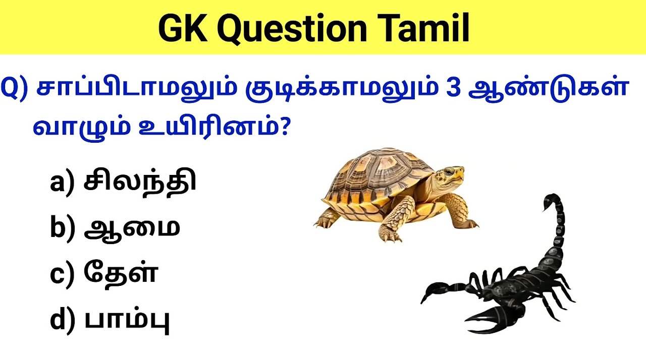 🤯 Unbelievable GK Facts in MCQ Format! Must Watch! 💡