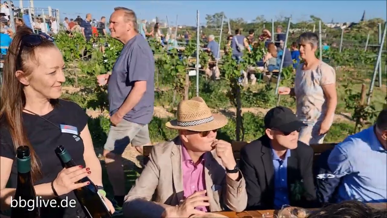 Hunderte Besucher wandern auf den Weinberg in Bernburg