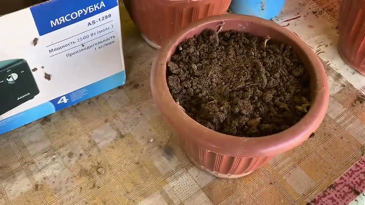 БИР ХАФТАЛИ МЕХНАТ ВА НАТИЖА ,БАХОНИ СИЗ БЕРИНГ 😊🌺😘