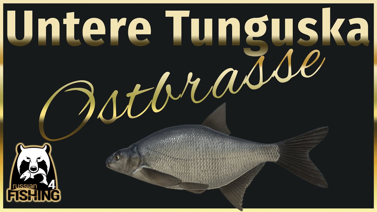 RF4 Untere Tunguska - Ostbrassen Spot 2022