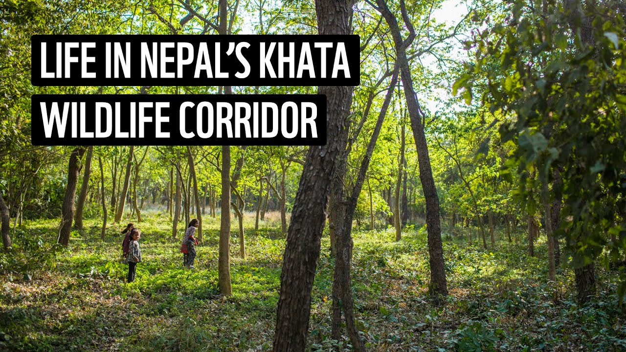 Life in Nepal's Khata Wildlife Corridor | WWF-Nepal