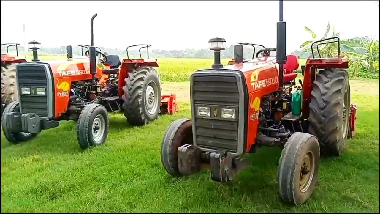 ফ্রি সার্ভিস ক্যাম্প #views সভা #installation #tafe5900 #camp মেলা #viralvideo #tractor #tafe #সেরা