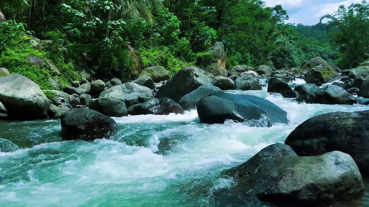 Quiet Your Mind Instantly with Relaxing River Sounds for Sleep