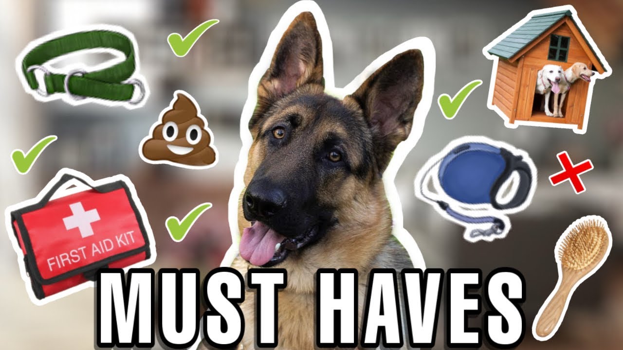 First Time Dog Owner Essentials | Check List For Your Dog | Whats in my Doggy Bag