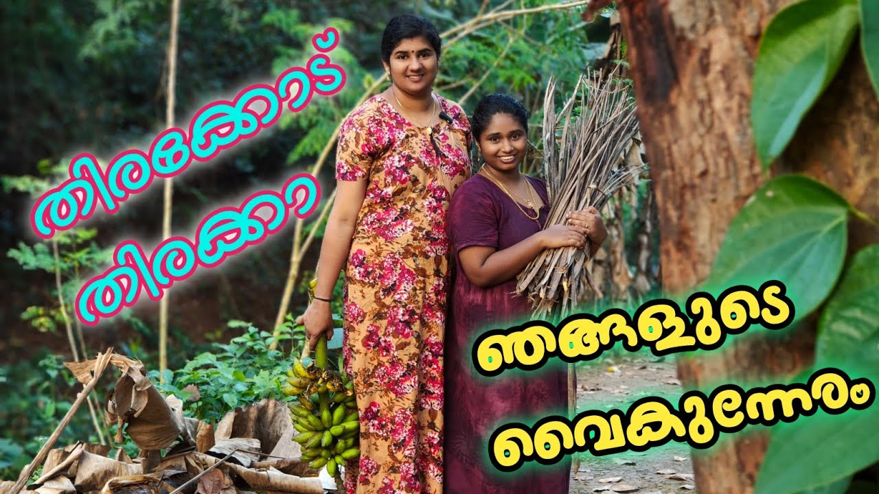 എത്ര ചെയ്താലും തീരാത്ത പണിയും തിരക്കും വൈകുന്നേരവിശേഷങ്ങളും🥰🥰😍😍😔😔😔