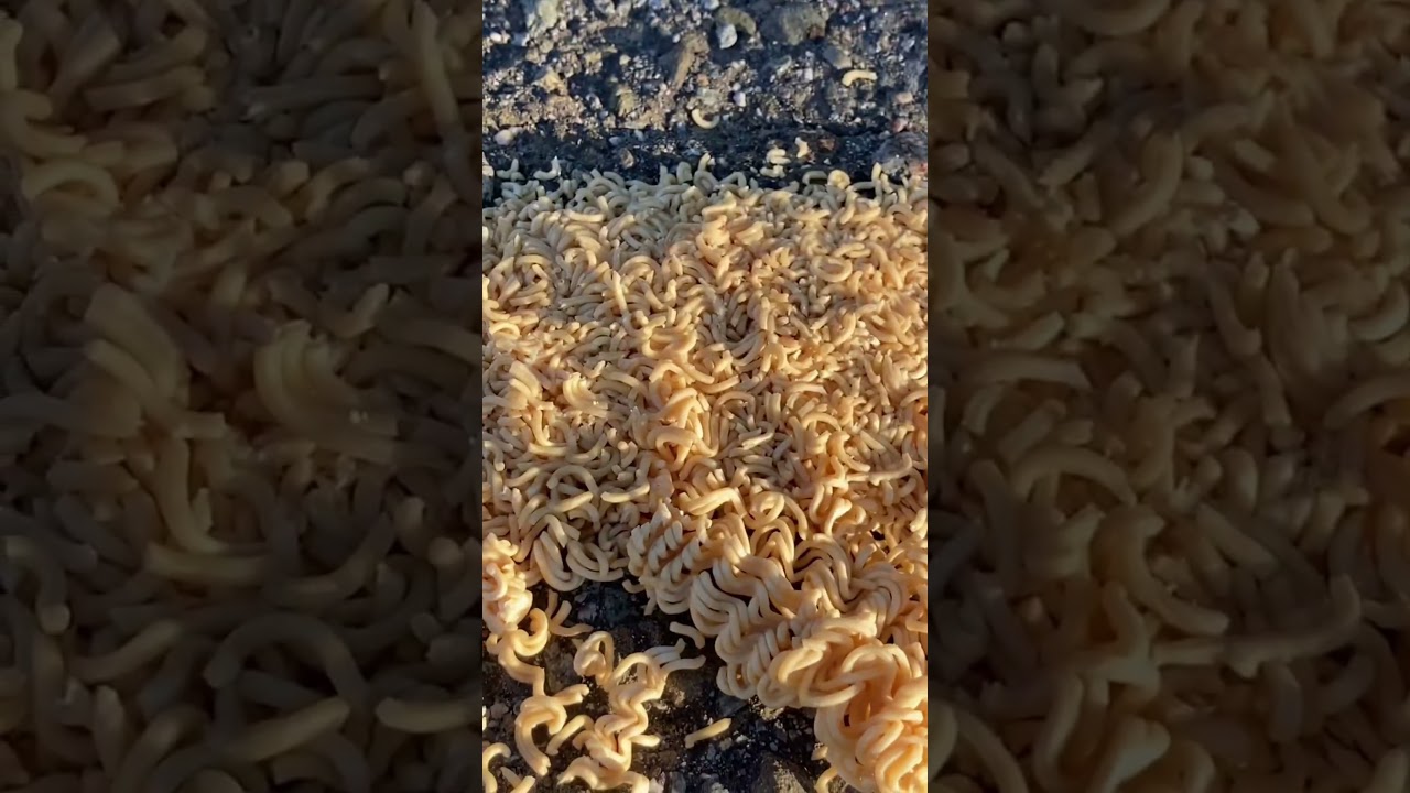 instant noodles #1 vs CAR