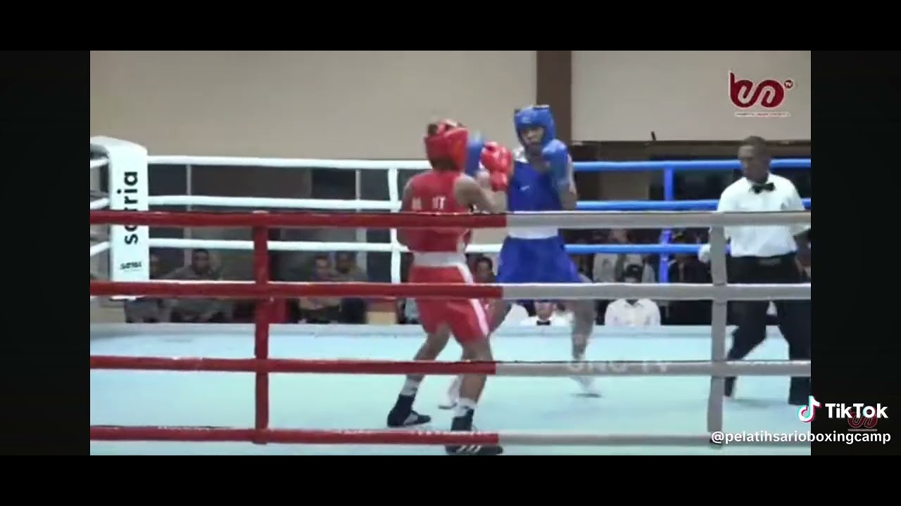 MUT VS SUT