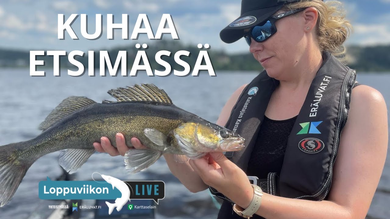 Loppuviikon LivE: Kuhaa etsimään