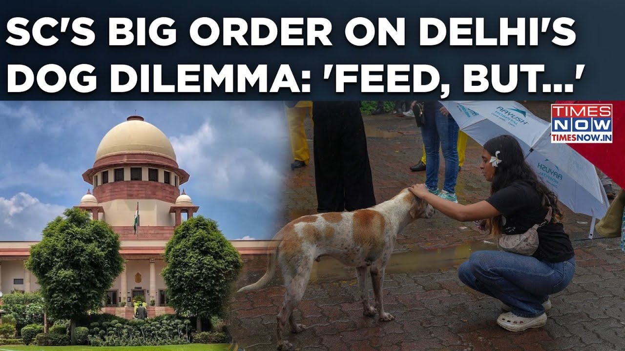 SC Modifies Stray Dogs Order: Larger Bench Directs This On Feeding, Capture| Delhi Dilemma Ends?