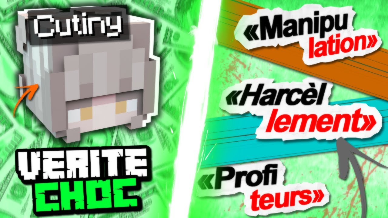 la vérité sur ce que SUBISSENT les Youtubeuses Minecraft..