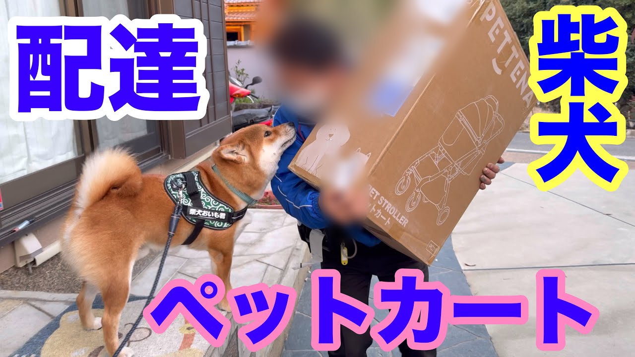 【PETTENA】ペットカート配達ありがとう！