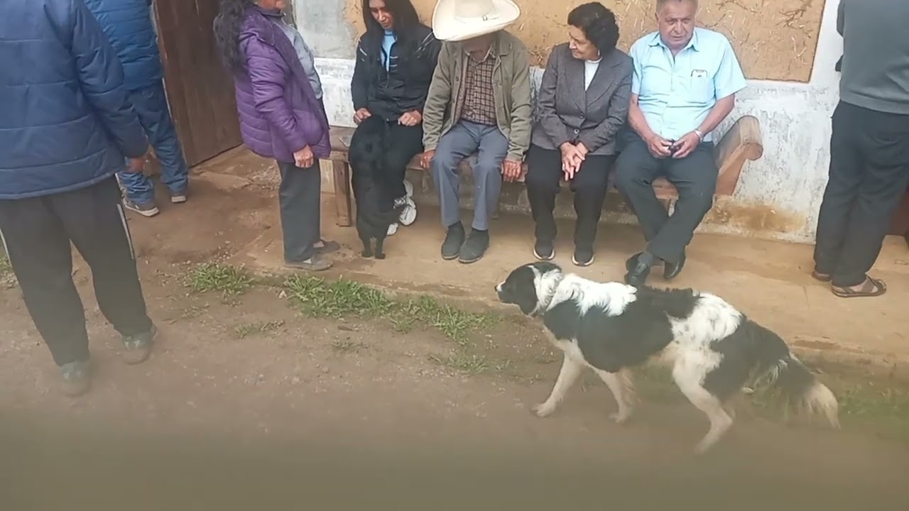 17 de marzo de 2026