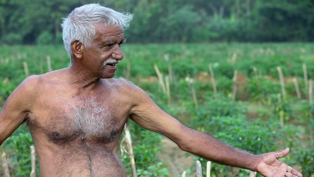 MWSIP - Minipe farmer