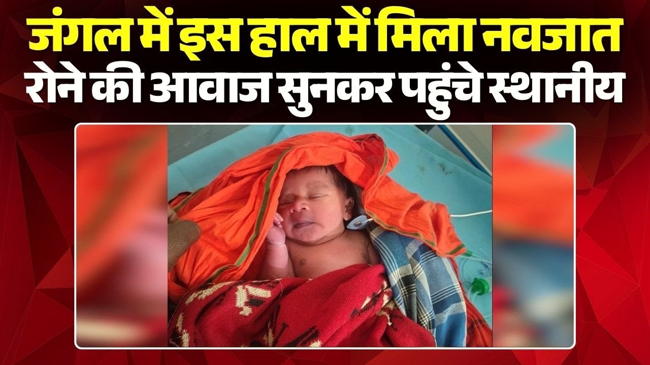 Surajpur News: जंगल में इस हाल में मिला नवजात | रोने की आवाज सुनकर पहुंचे स्थानीय | Chhattisgarh