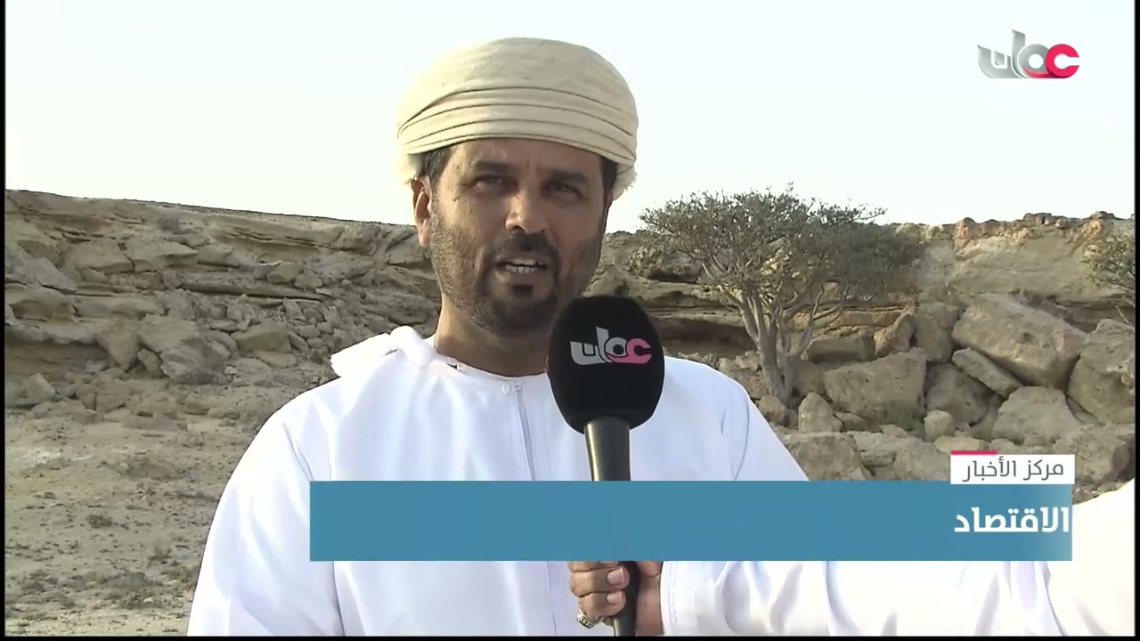 شركة أمواج للعطور تطلق برنامجا لتأهيل كوادرها الوطنية في حصاد اللبان من وادي دوكة بمحافظة ظفار